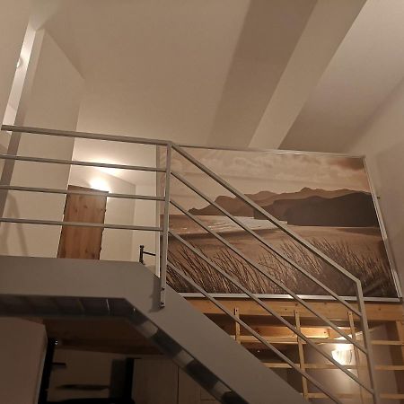 Farolfi Apartments Ranzani 博洛尼亚 外观 照片