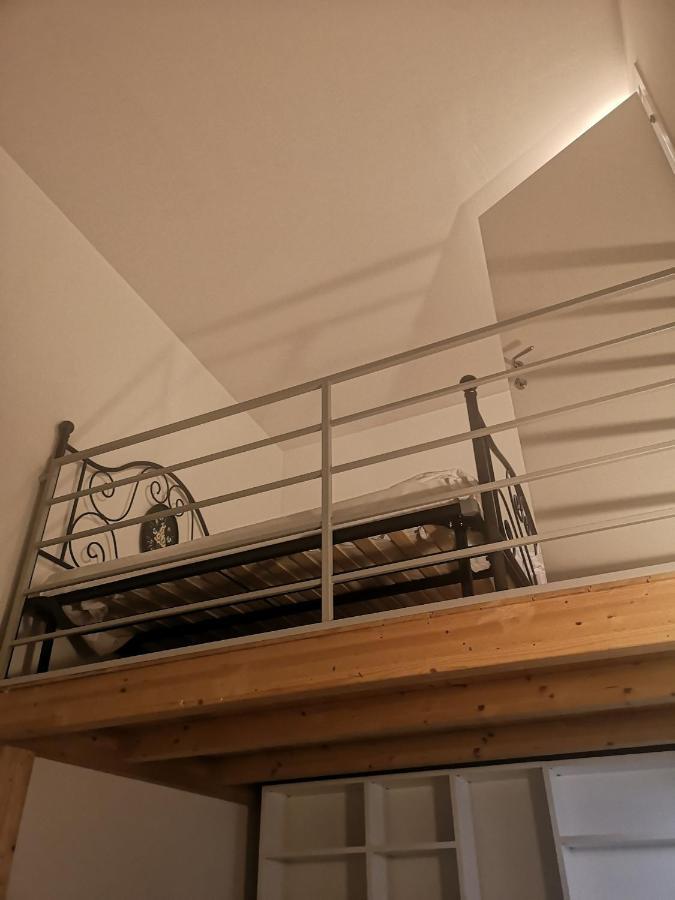 Farolfi Apartments Ranzani 博洛尼亚 外观 照片