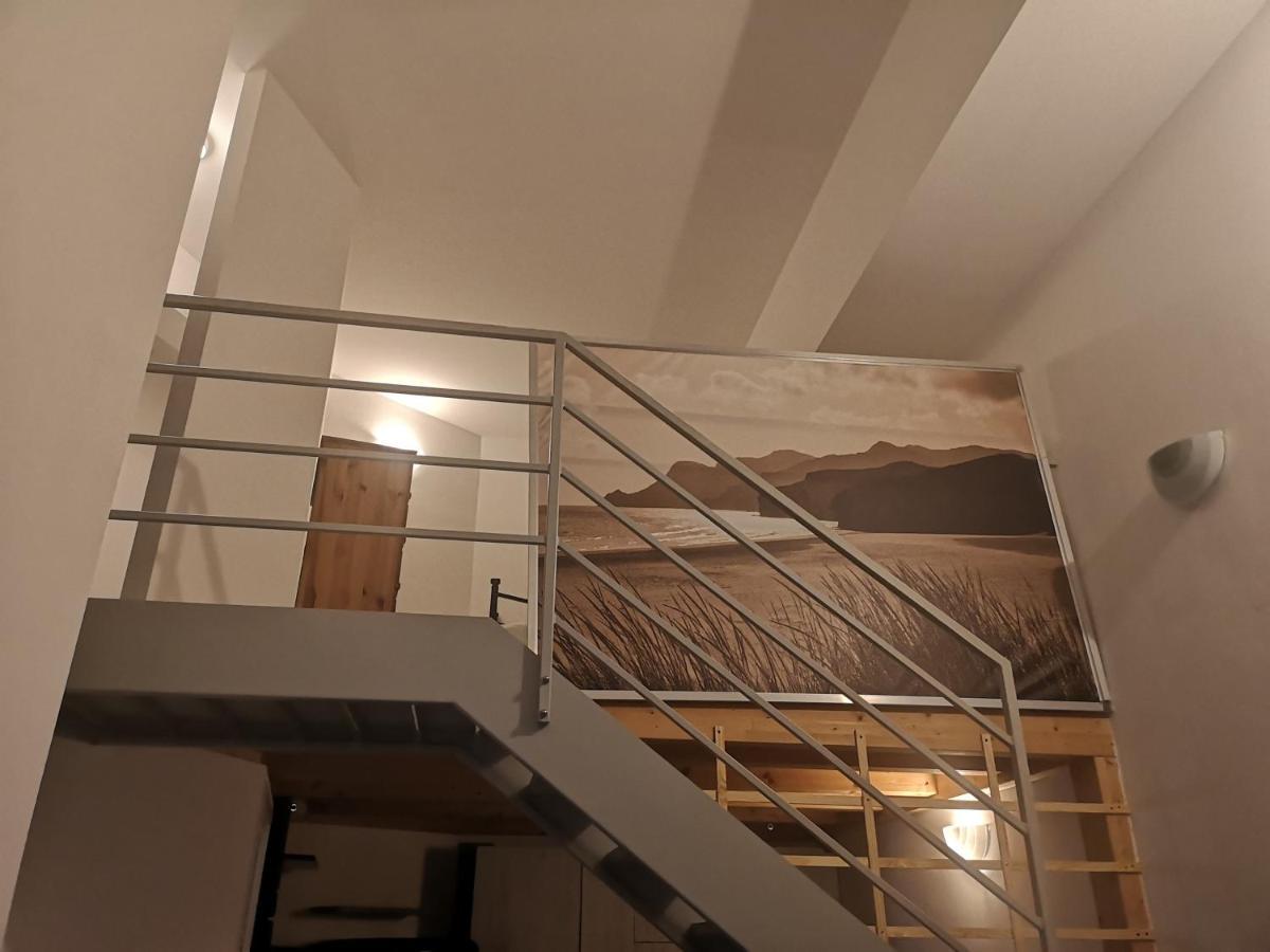 Farolfi Apartments Ranzani 博洛尼亚 外观 照片